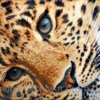 Миледи СЛ-3166 Золотой леопард, схема под бисер