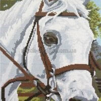 I.B. Studio 132131 Лошадь, канва с рисунком