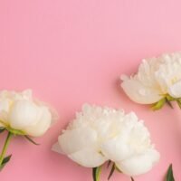 Поздравительные конверты для денег Купюры 14517,14511