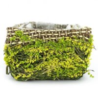Кашпо "Forest" зелене 12*9см N-14