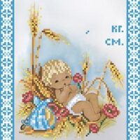 ВДВ Т-0431 Метрика для мальчика , схема под бисер