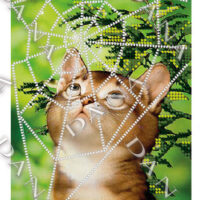 ДАНА-193 Котенок в паутинке, схема под бисер