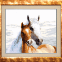 Чарiвна Мить М-03 Нежностть, набор для вышивания нитками