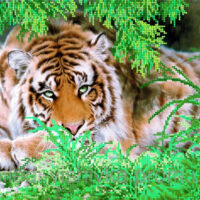 Миледи СЛ-3155 Безмятежность, схема под бисер