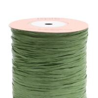 Рафія Well May - ISPIE 117 - WILLOW - Верба