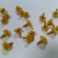 Срединка №11 желтая средняя 12мм