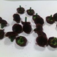 Срединка №14 коричневая большая 18мм