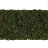 Мох натуральный зеленый 100г 300-001