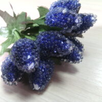 Ежевика синяя 4443