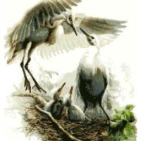 Дантель Арт.807, канва с рисунком