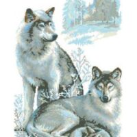 Дантель Арт.1002 Волки, канва с рисунком