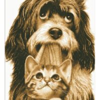 Дантель Арт.969, канва с рисунком