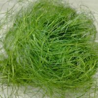 Сізаль 10г фісташка