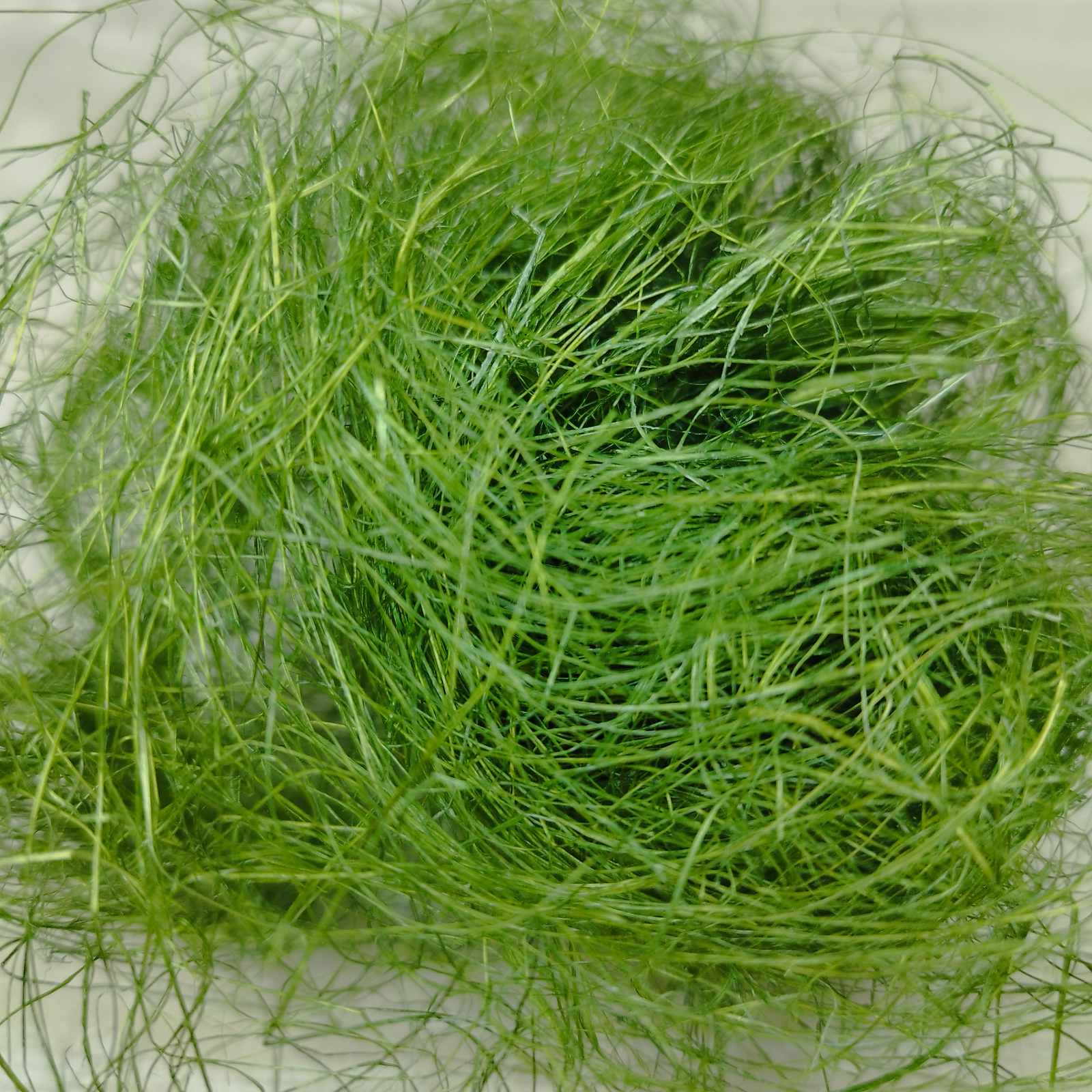 Сізаль 10г фісташка