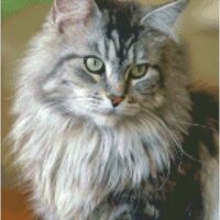 Дантель Арт.8166, канва с рисунком