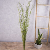 Салекс сухоцвет крученый Matsumata №5138 зеленый