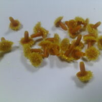 Срединка №9 желтая маленькая 8мм