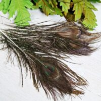 Пір'я павича 25-30см НТ29