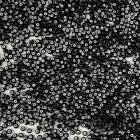 Бісер 23798 Preсiosa 10/0 чорний з бiлим 25г