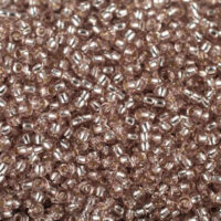 Бісер 78213 Preciosa 10/0 темно-коричневий з блискучим срібним отвором 25г