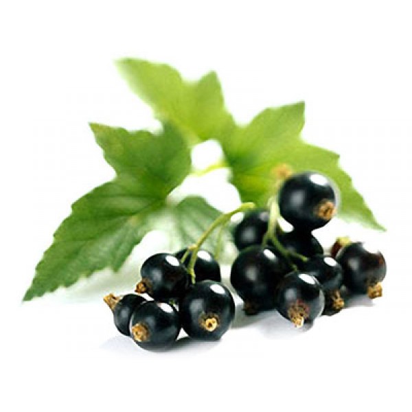 Ланосо Алпакана (Lanoso Alpacana) 100г/130м 310 червоний