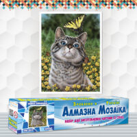 Алмазна вишивка DMF-359 Кіт з метеликом 40*30см (на підрамнику)