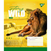 Зошит 12арк .коса линія «Мрiя"