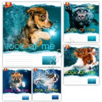 Зошит 36арк. клітинка «Мрiя"