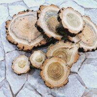 Декоративная подставка Спил из дерева Шелковица 11,5*1см